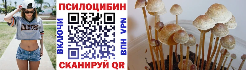Псилоцибиновые грибы ЛСД Егорьевск